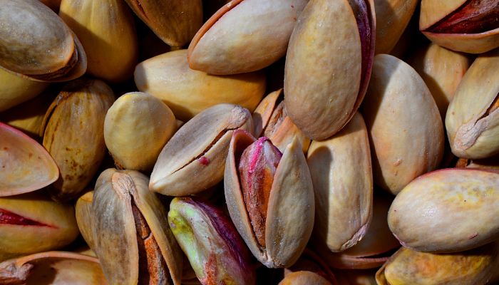 propiedades y beneficios del alfónsigo