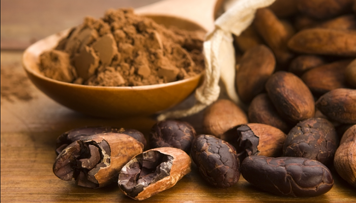 Beneficios del cacaotero