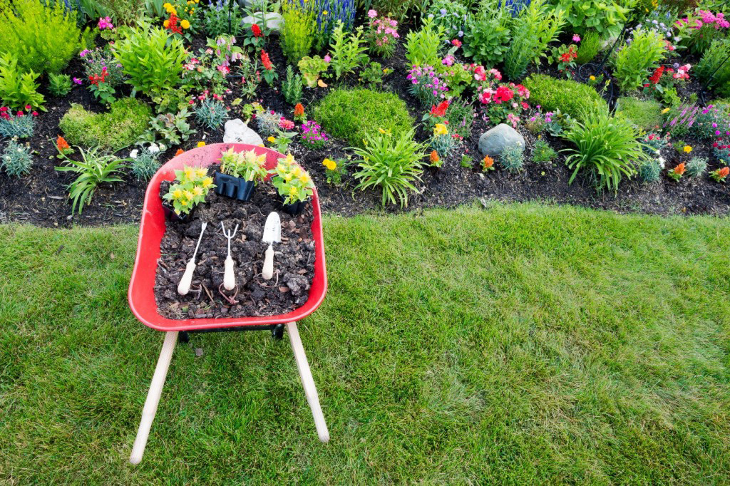 diseño tu jardín pequeño