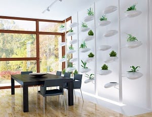 Jardín hidropónico casero: montaje, solución nutritiva y pH