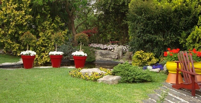 Jardín de bajo mantenimiento: suelo vivo y cubierta viva