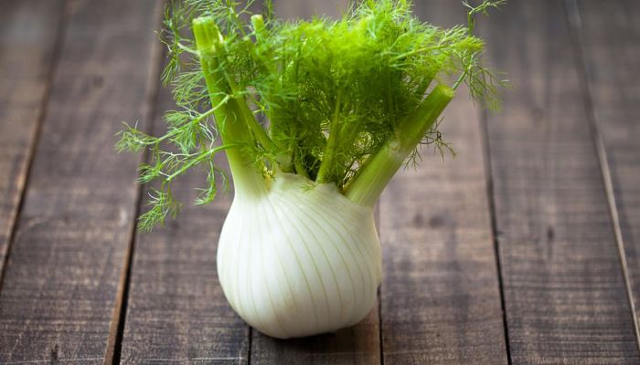 Fennel