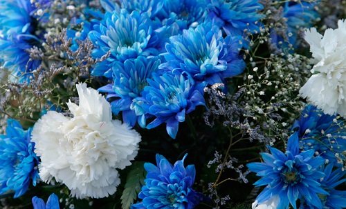 Flores azules