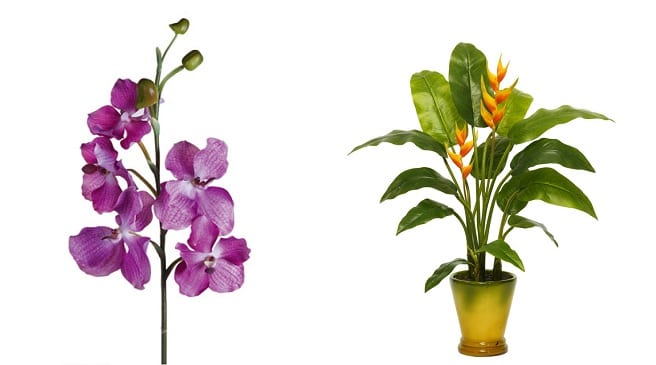 Regalar flores: de dónde salen y cómo llegan al destino