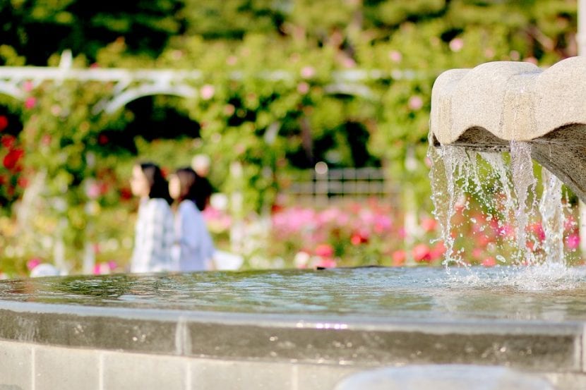 Fuente de jardín con un diseño romántico