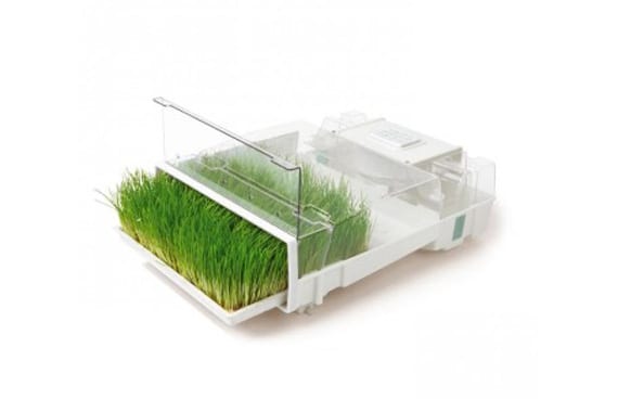 germinador-electrico-easygreen Germinador
