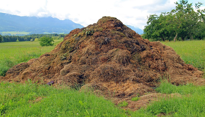 Compost