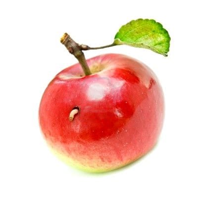 Carpocapsa: de dónde llega el gusano de la manzana
