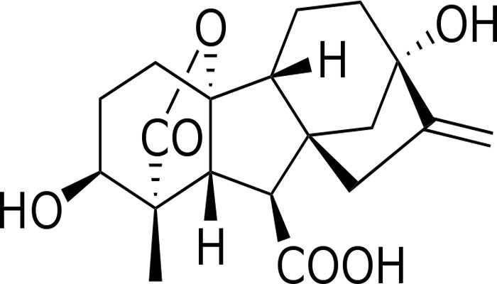 Fitohormona