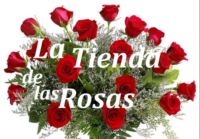 la tienda de Rosas encuentra tu rosa para regalar