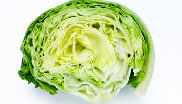 Lechuga iceberg (Lactuca sativa)