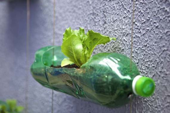 maceta en botella de plastico