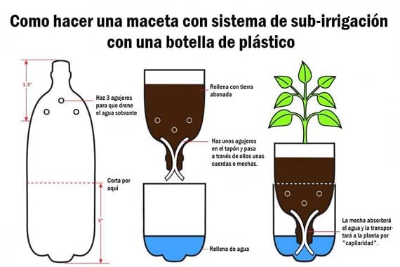 hidromaceta en botella de plastico