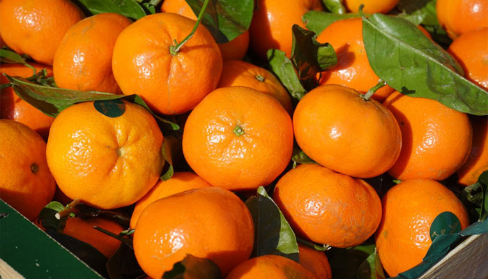 Frutos de naranja