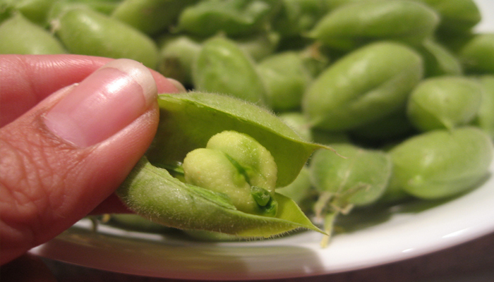 Garbanzo planta con minerales