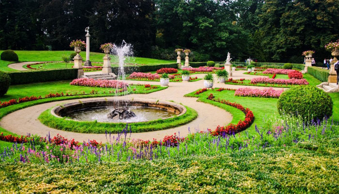 Plantas para jardín exterior 