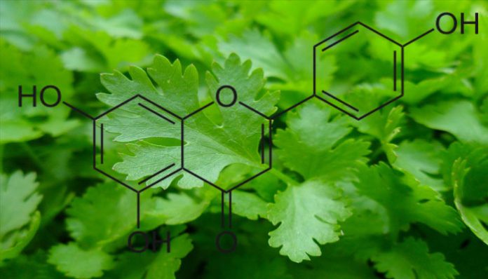 Hojas verdes con la fórmula química de la apigenina superpuesta