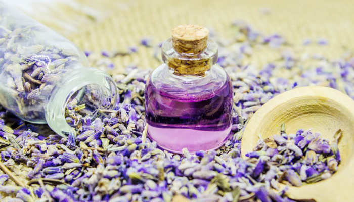 Lavanda