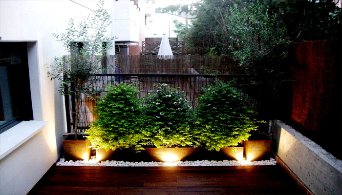 Top 8 Plantas Para Un Patio Interior Con
Flores De Cuidado Fácil