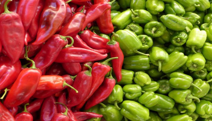 Montones de pimientos rojos alargados y pimientos verdes de tipo morrón