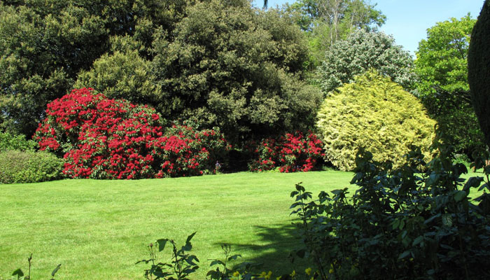 Plantas Que Les Gusta El Sol | 9 Plantas
Para Un Jardín Soleado