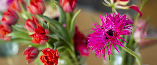 flores para regalar en primavera