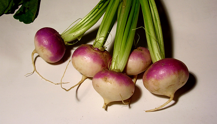 Frutos de Rutabaga