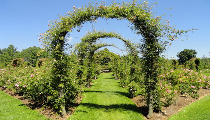 Soportes para plantas