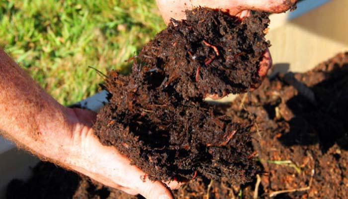 compost