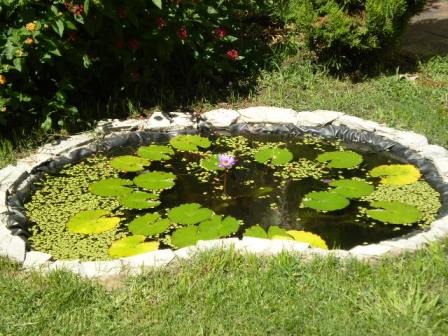 Estanque de jardín: nivelación, fugas y agua