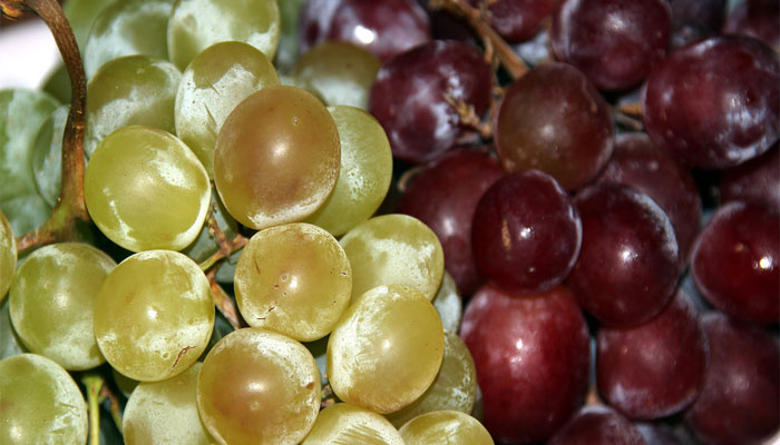 Uvas