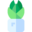 Género Echinopsis