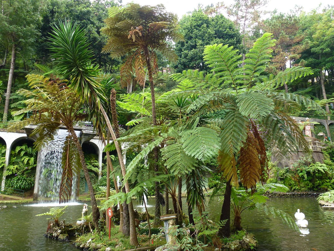 ¿Cómo diseñar un jardín tropical?
