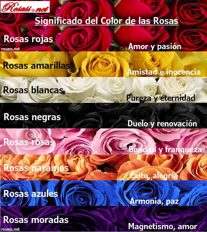 Significado de los Colores de las Rosas
