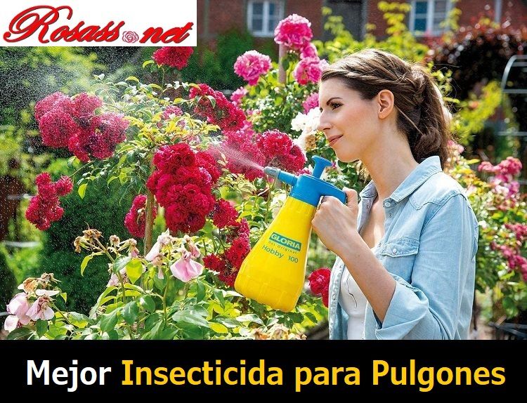 Mejor Insecticida para Pulgones