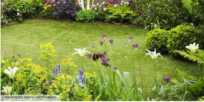 Hermosas ideas para decorar su jardín