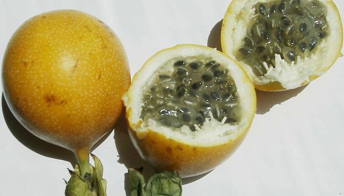 8 Beneficios Y Propiedades De La Granadilla