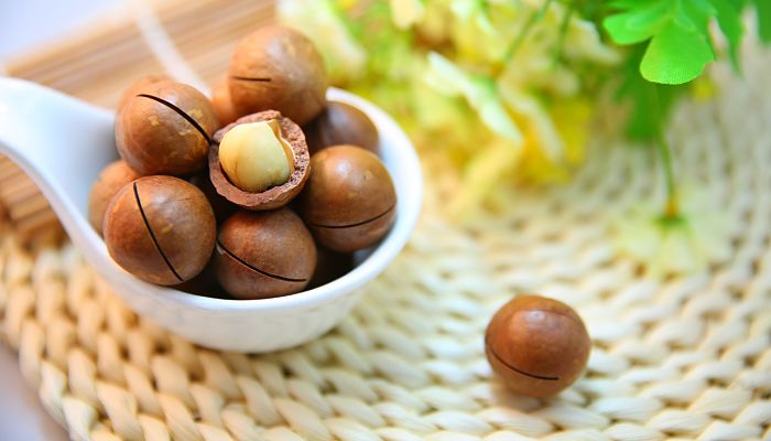 11 Beneficios Y Propiedades De La Macadamia