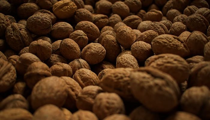 12 Beneficios Y Propiedades De La Nuez De Macadamia