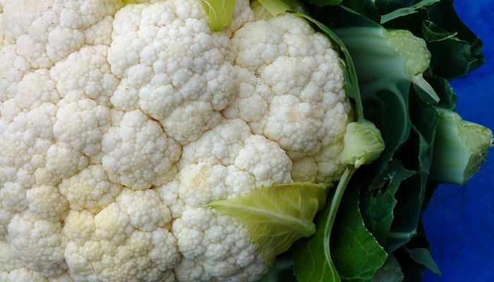 Beneficios y Propiedades del Coliflor