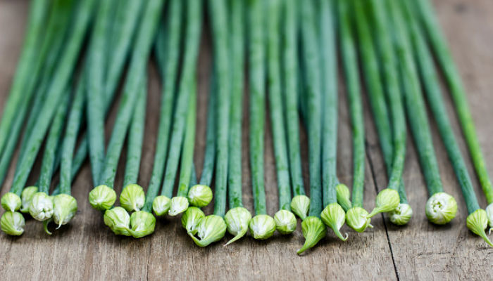 Cebolletas De Ajo. Origen, Descripción, Cultivo, Cuidados, Propiedades