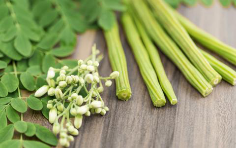 Flor de moringa: Características, Beneficios y Contraindicaciones