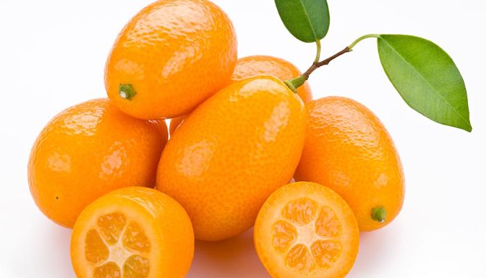 Kumquat. Origen, Descripción, Cultivo, Cuidados, Propiedades