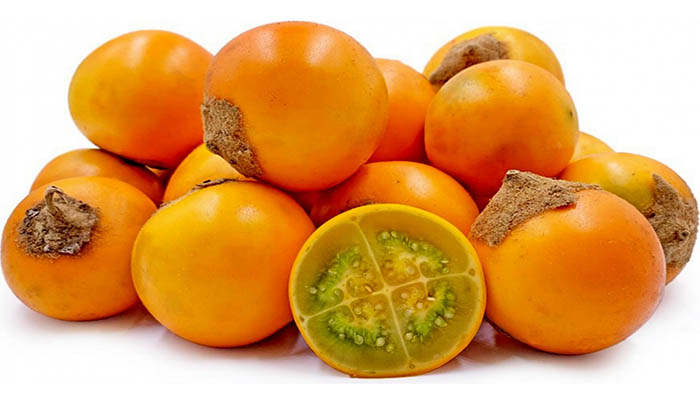 Naranjilla. Origen, Descripción, Usos, Propiedades y Más