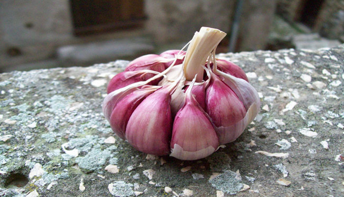 Top 10 Plantas Que Bajan La Presión Arterial Y Relajan los Vasos Sanguíneos