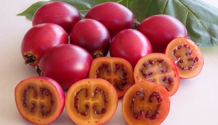 Tamarillo. Origen, Descripción, Cultivo, Cuidados, Propiedades